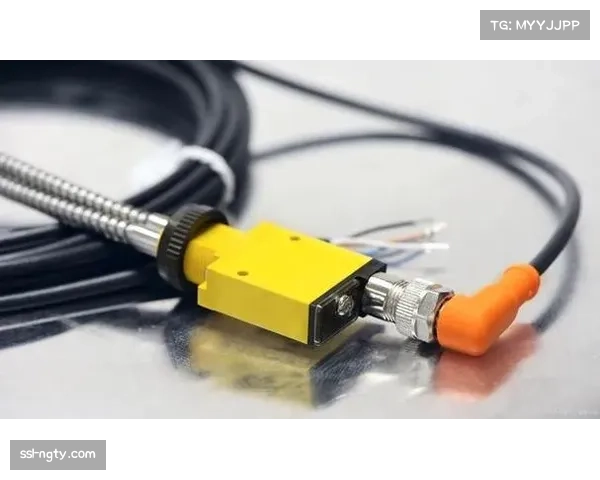 高科技助力：门线技术清晰显示皮球未完全过线，避免误判发生